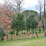 Toscana Hotel Laterina