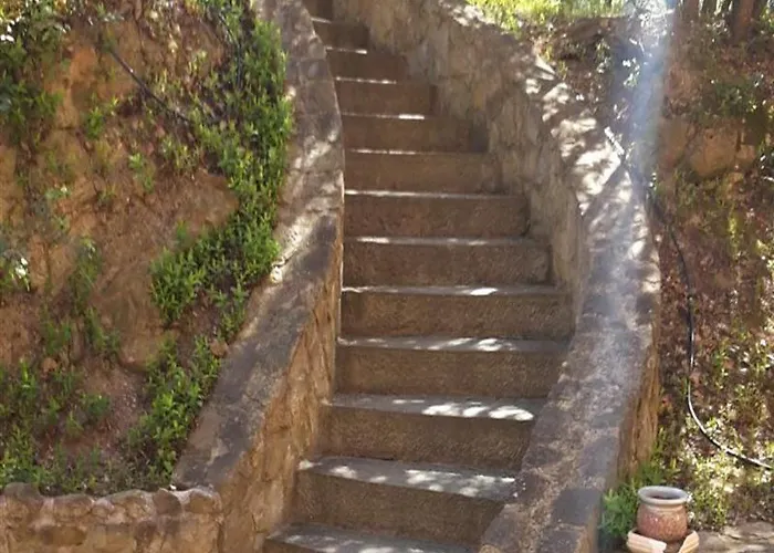 酒店 托斯卡纳佛得酒店 拉泰里纳